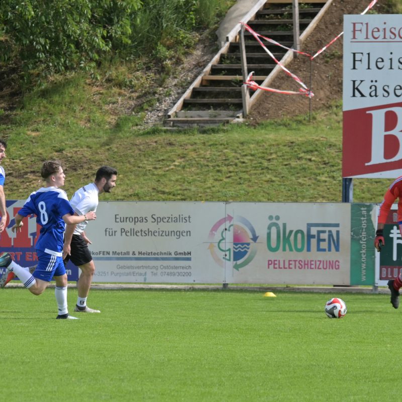  - Bundesmeisterschaft Kleinfeld-Fußball 2024 in Wieselburg - Sportverein Finanz