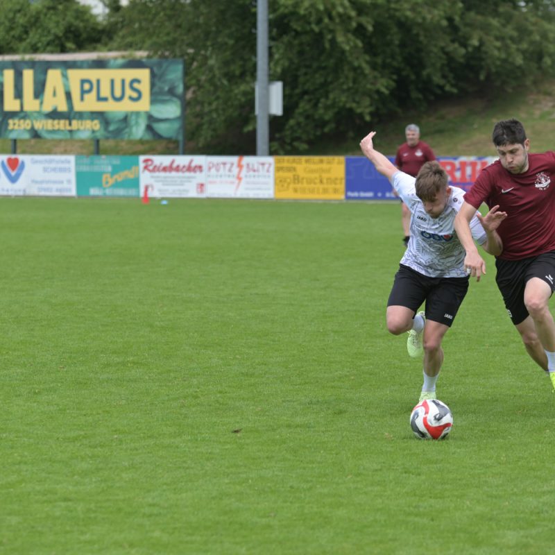  - Bundesmeisterschaft Kleinfeld-Fußball 2024 in Wieselburg - Sportverein Finanz